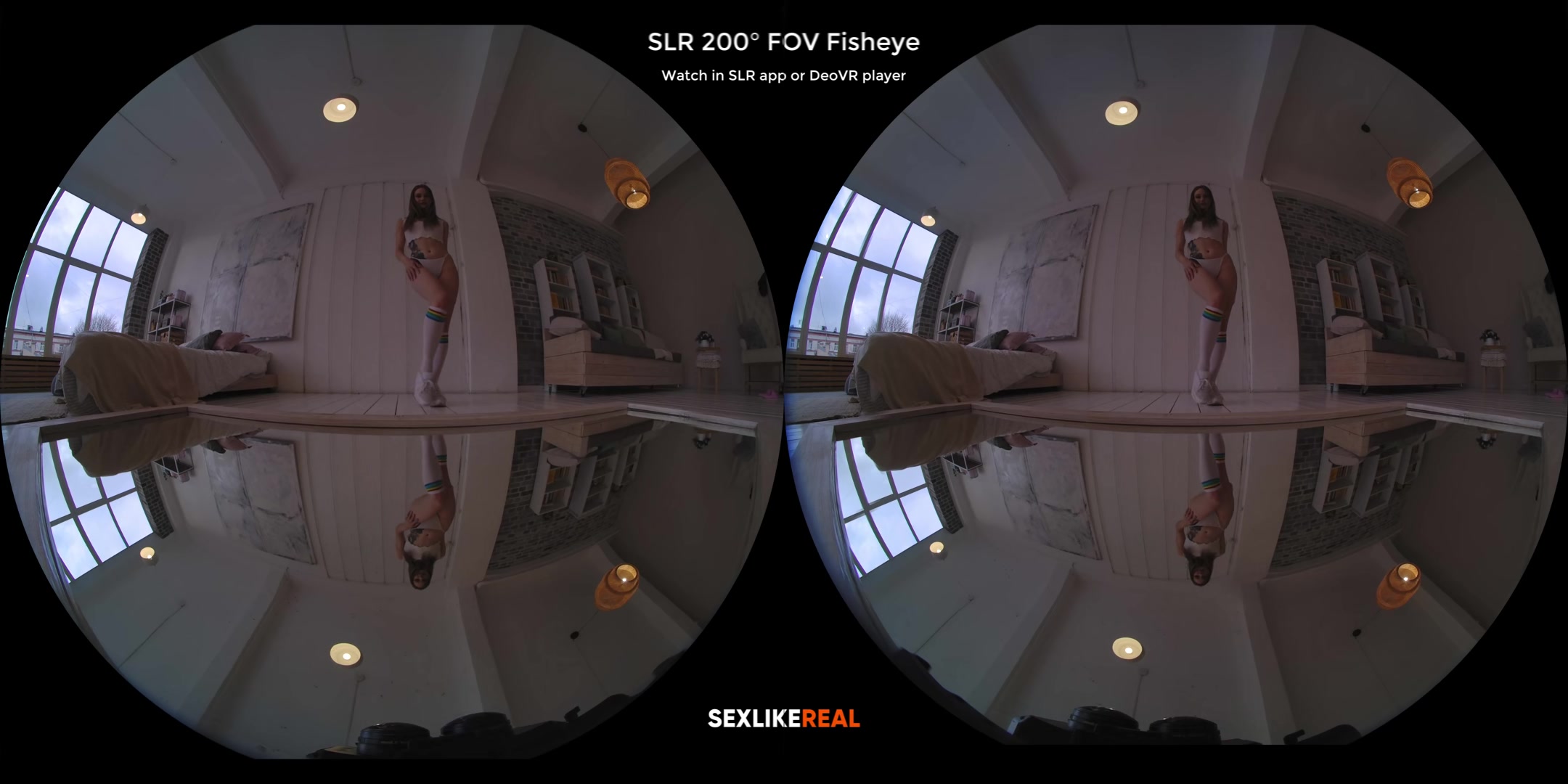 Fit & Fun - StasyQVR