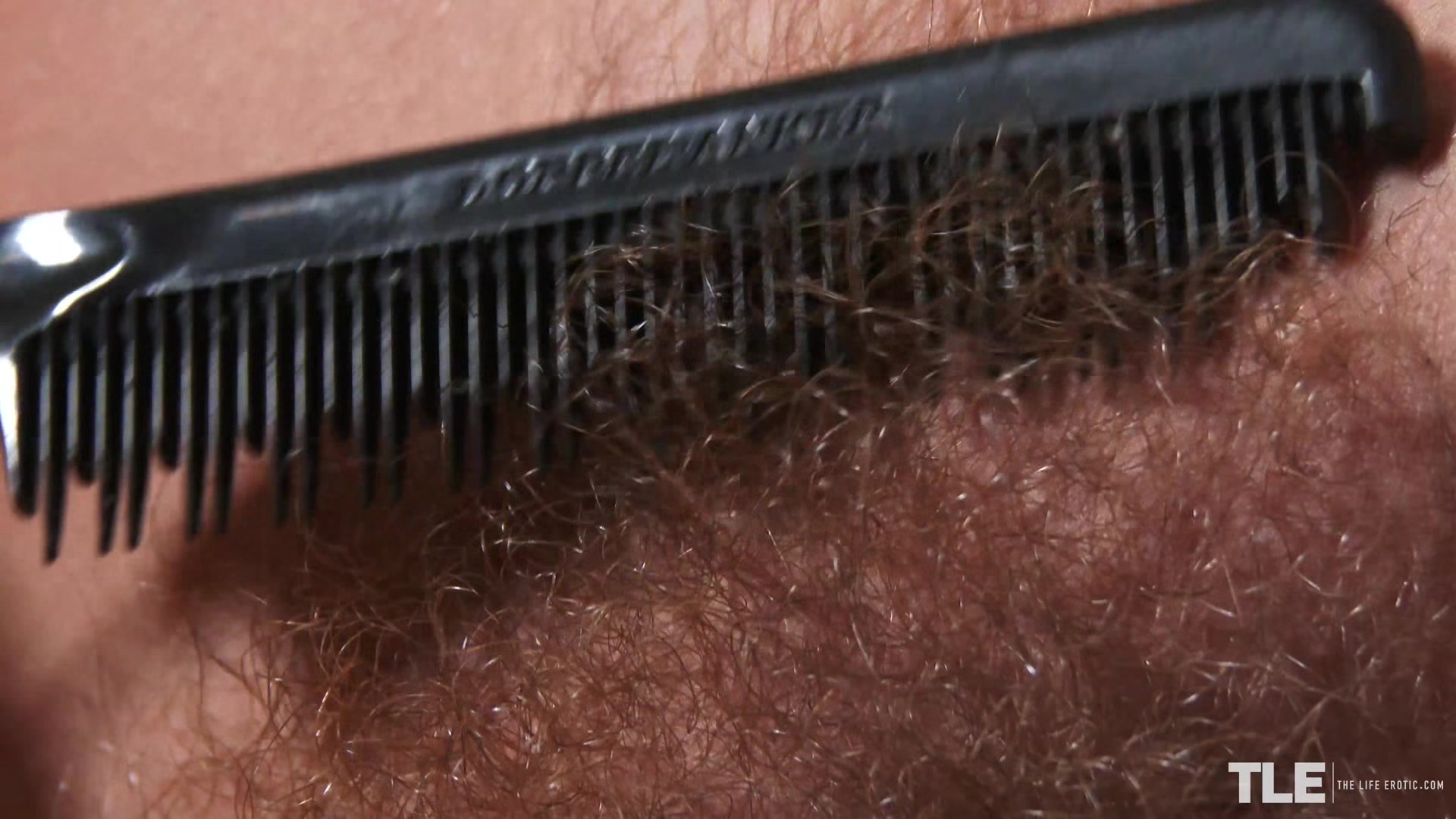 Hairy 2 - Kalisy - TheLifeErotic