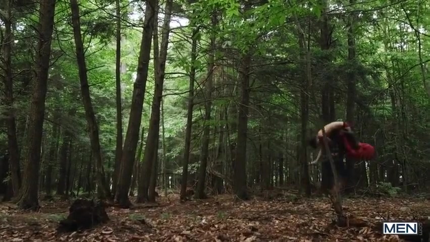Couple Outside Forest Friends Porn Sex Hot Show