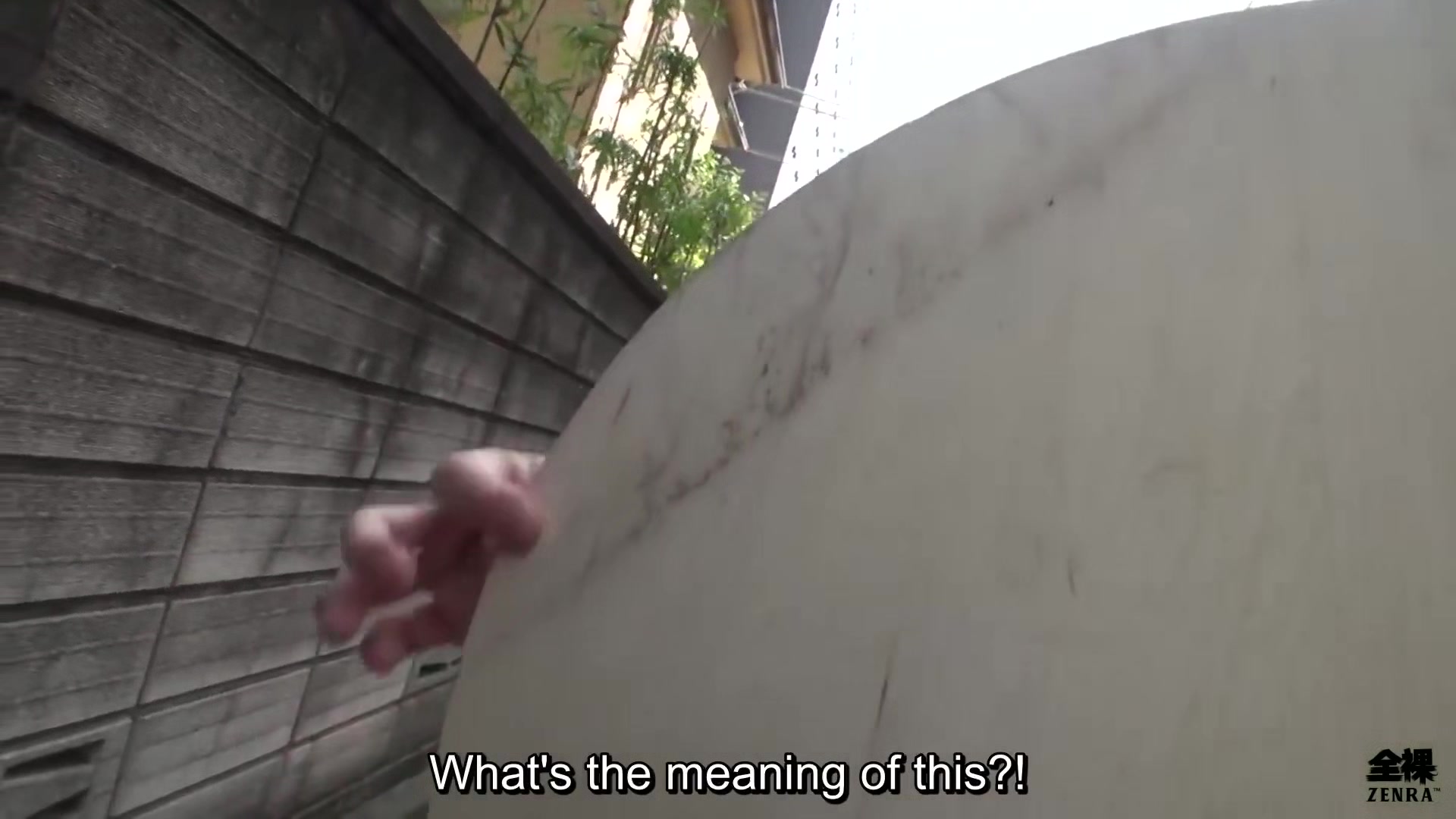 Courageous Abe-chan ventures into a Japanese cougar den