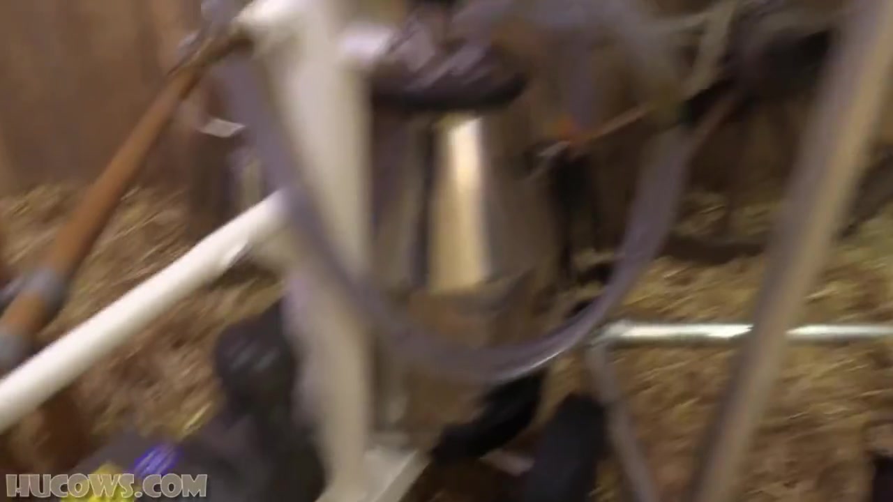 Big Tits Blonde Milked Hucow Bdsm