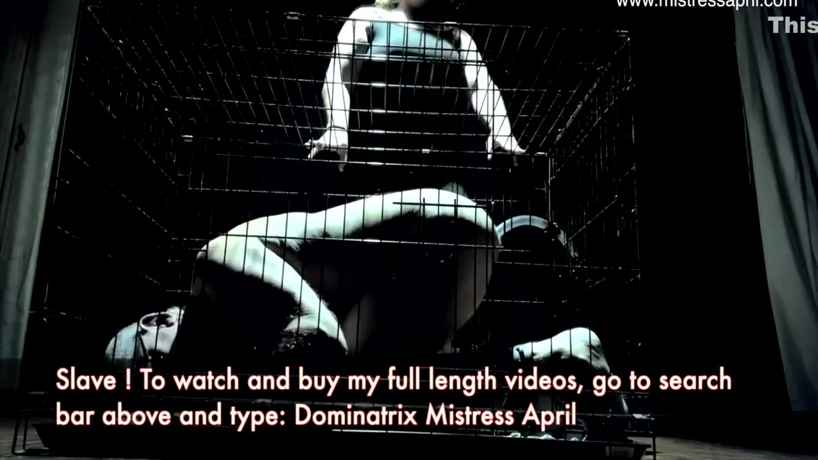 Dominatrix Slave Toilet - Mistress April