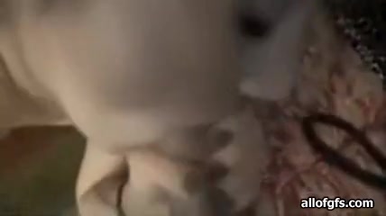 Anna the gorgeous little slut sucks and fucks