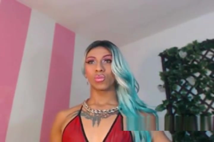 Tgirl elephant cock