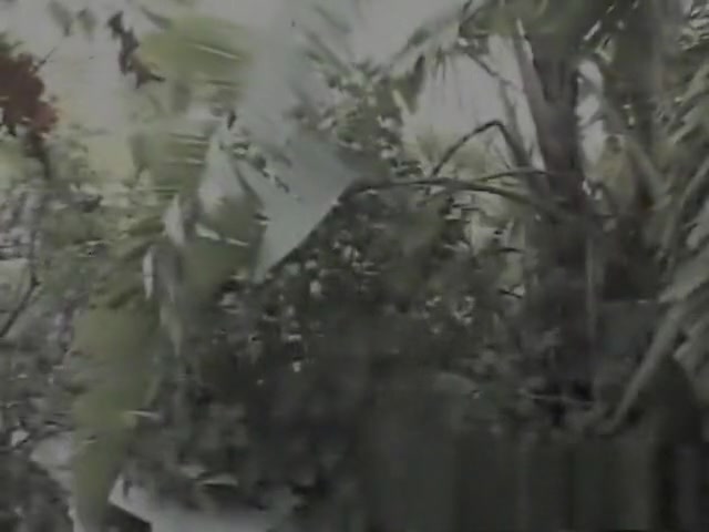 she Males Back Door 2 - Scene 1