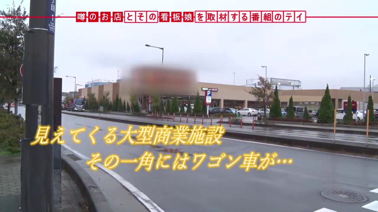0005049_美脚 着衣SEX ギャルなどが含まれている