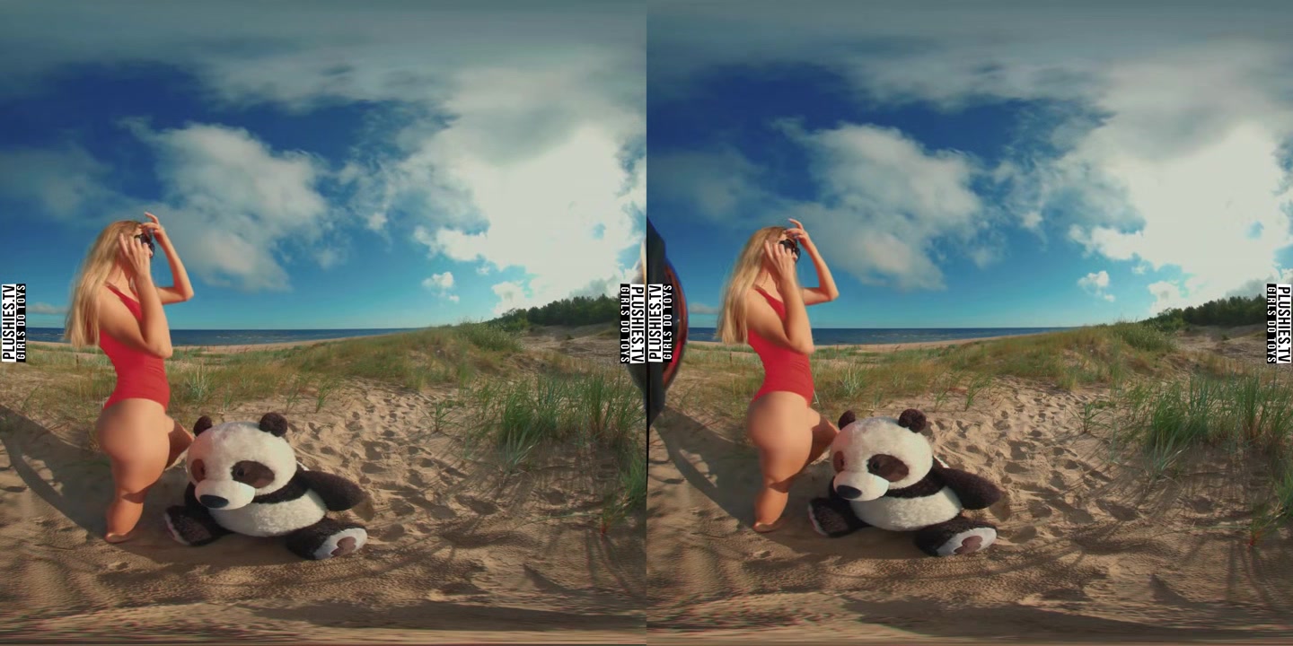 Beach Day In Poland - PlushiesVR