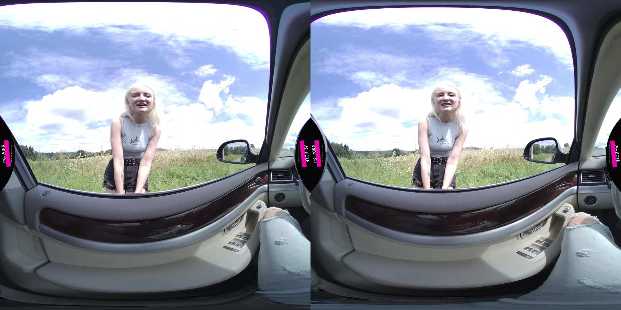 Sex In The Car And Nature With Daruma