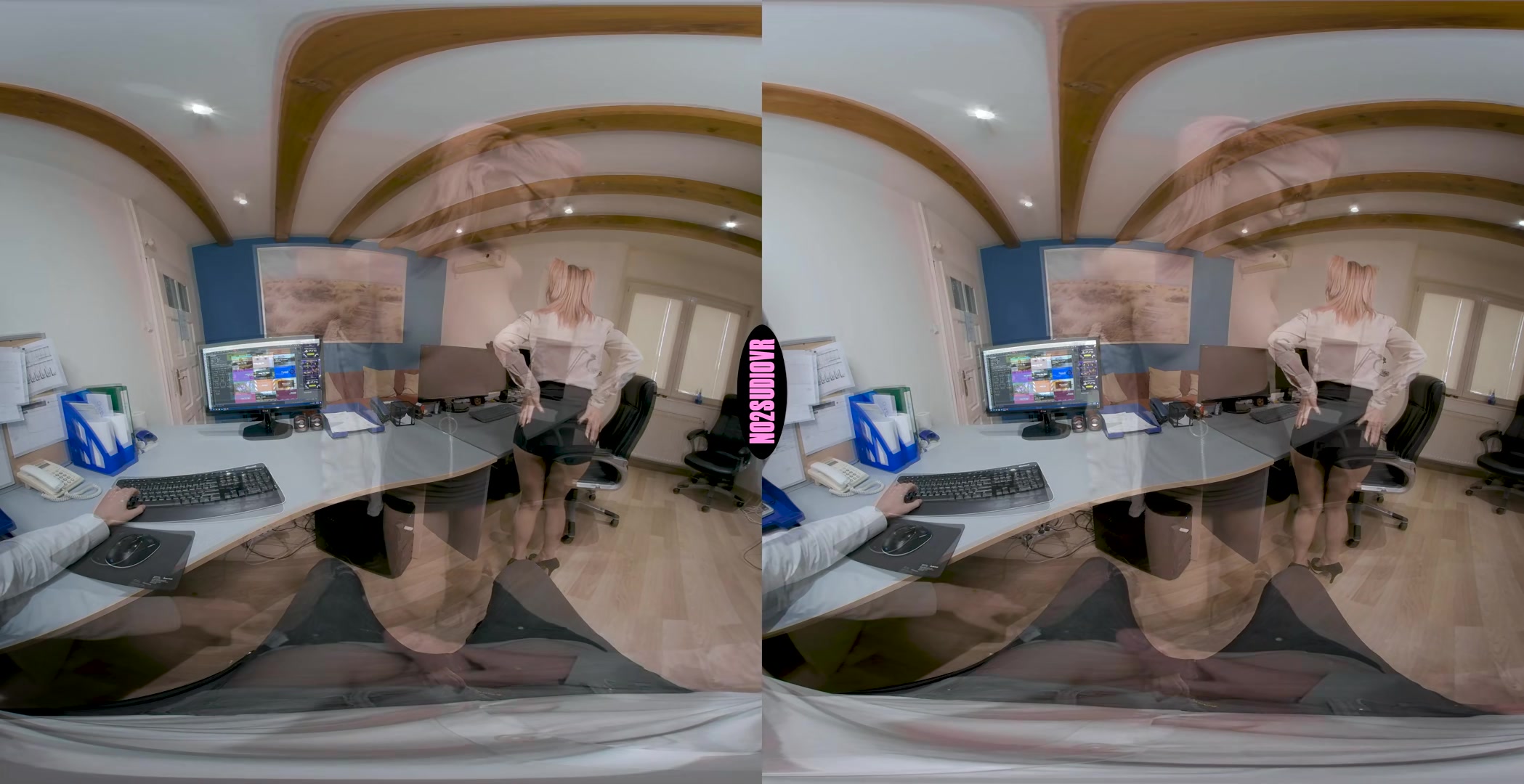 At the Office - Sucking and Fucking my Boss - No2StudioVR