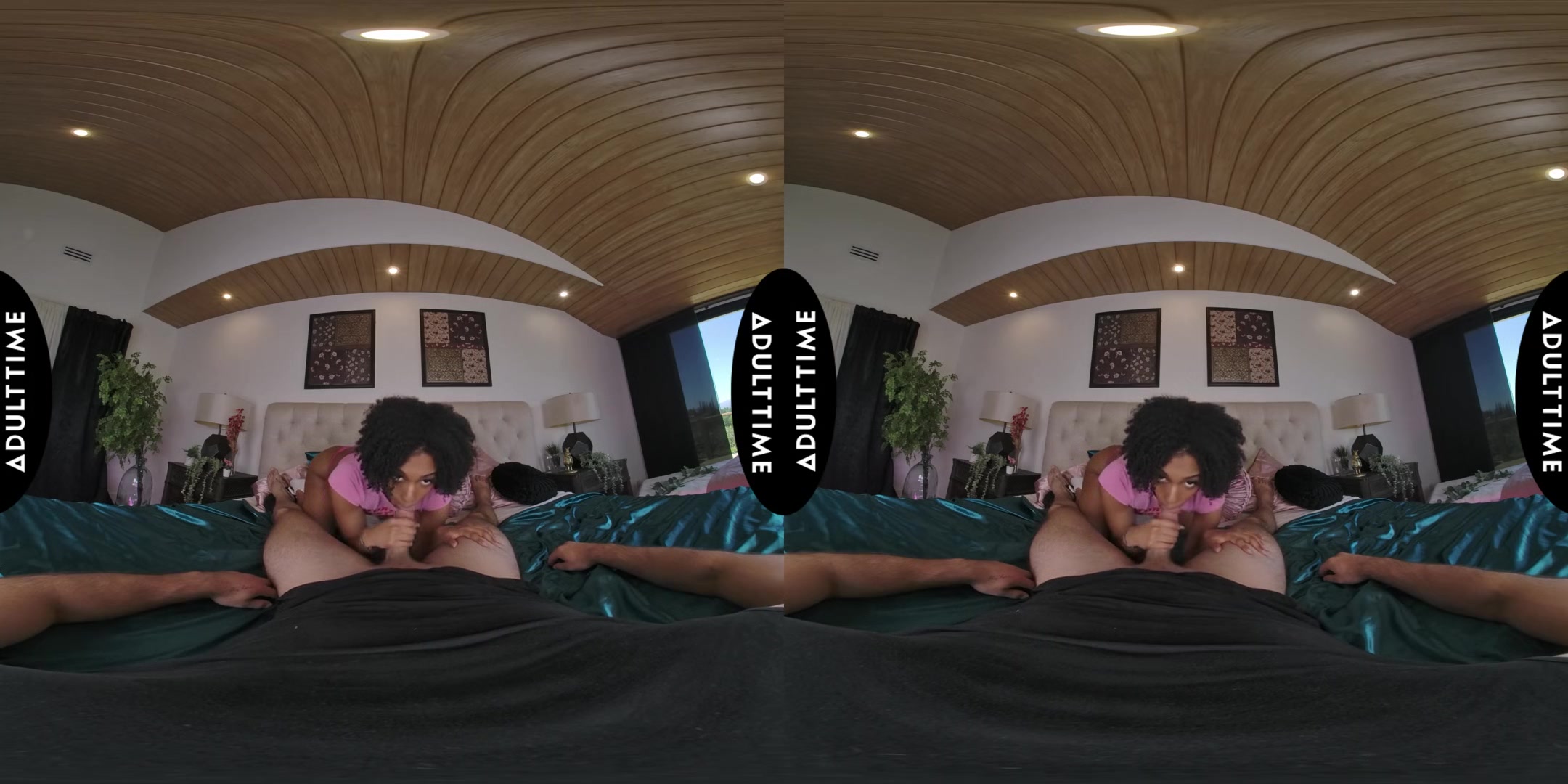 Up Close Vr With Addis Fouche