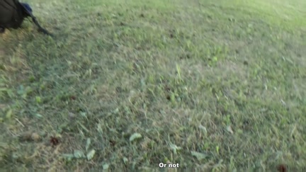 Outstanding non-professional public sex footage