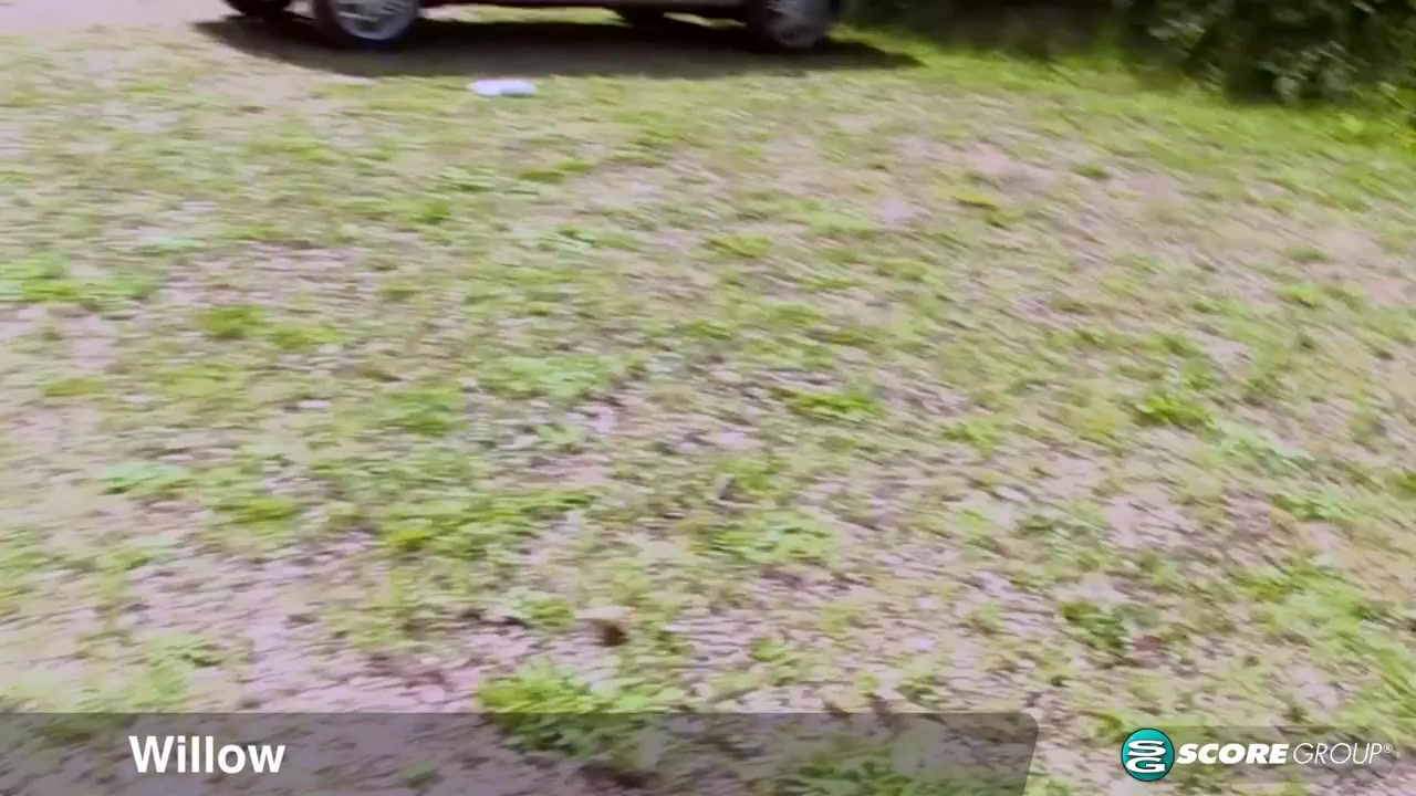 Dogging Day Afternoon