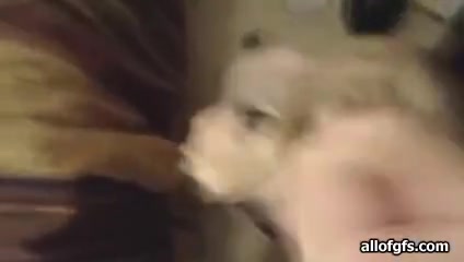 Girlfriend pics my ex gf anal gf sex