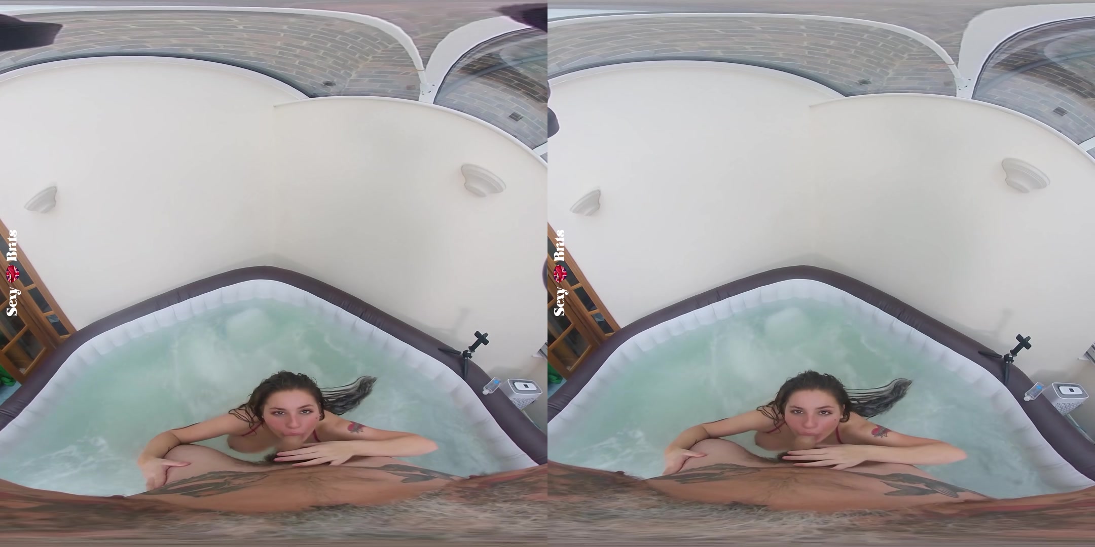 How to Bathe Your Aussie I - perVRt