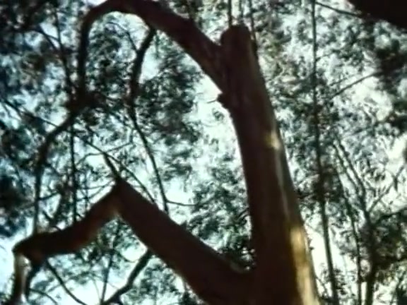 Annette Haven, Lisa De Leeuw, Paul Thomas in classic xxx scene