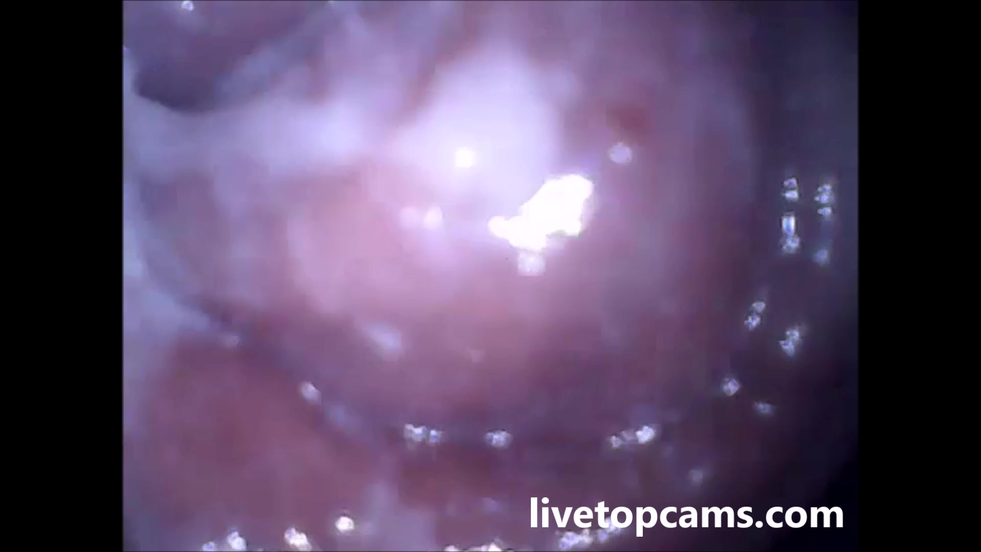Inside of the vagina orgasm