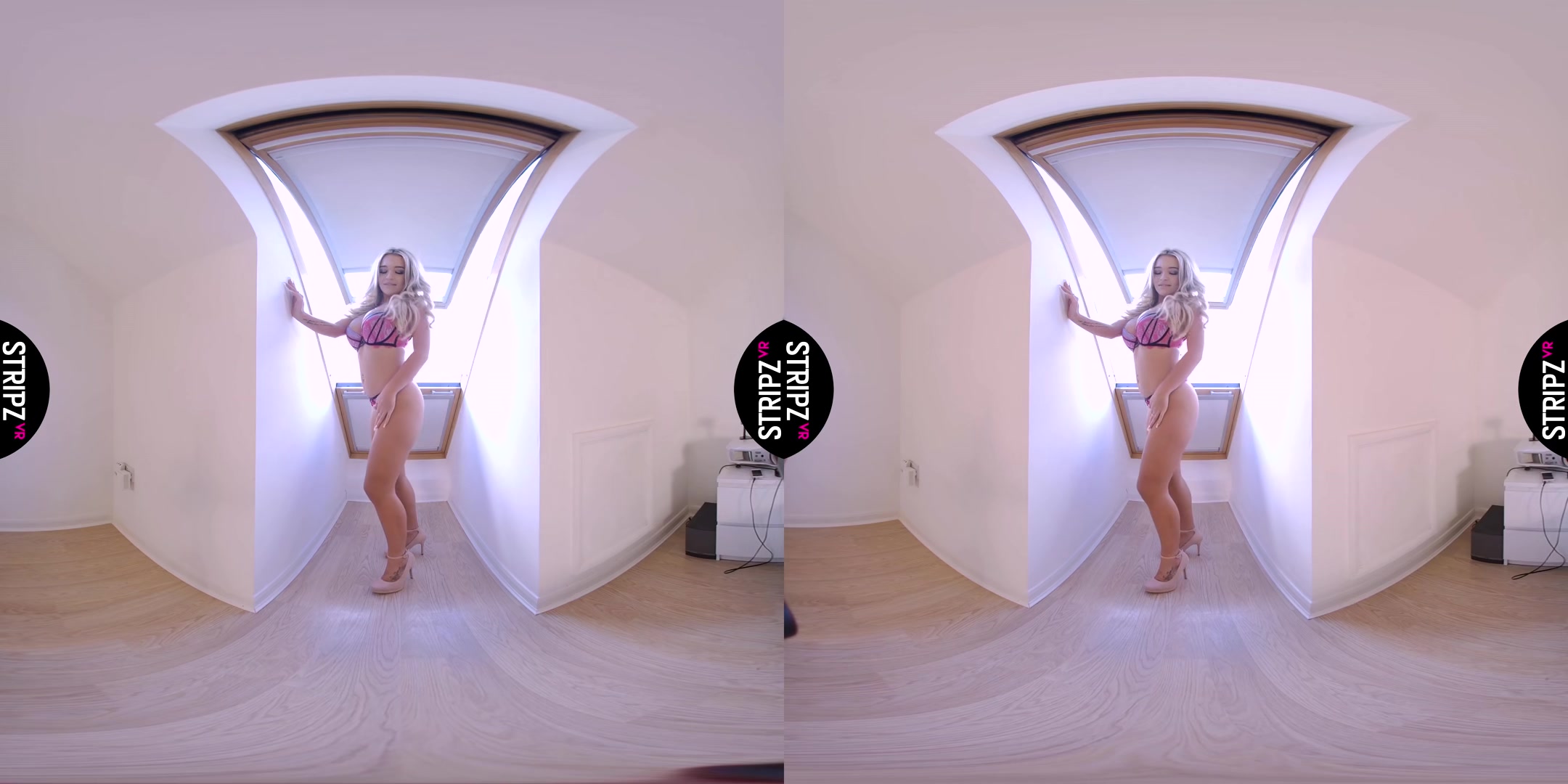 Room With a View - StripzVR