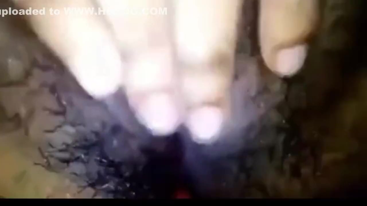 When My Cousin Came On A Video Call Everything Was Revealed