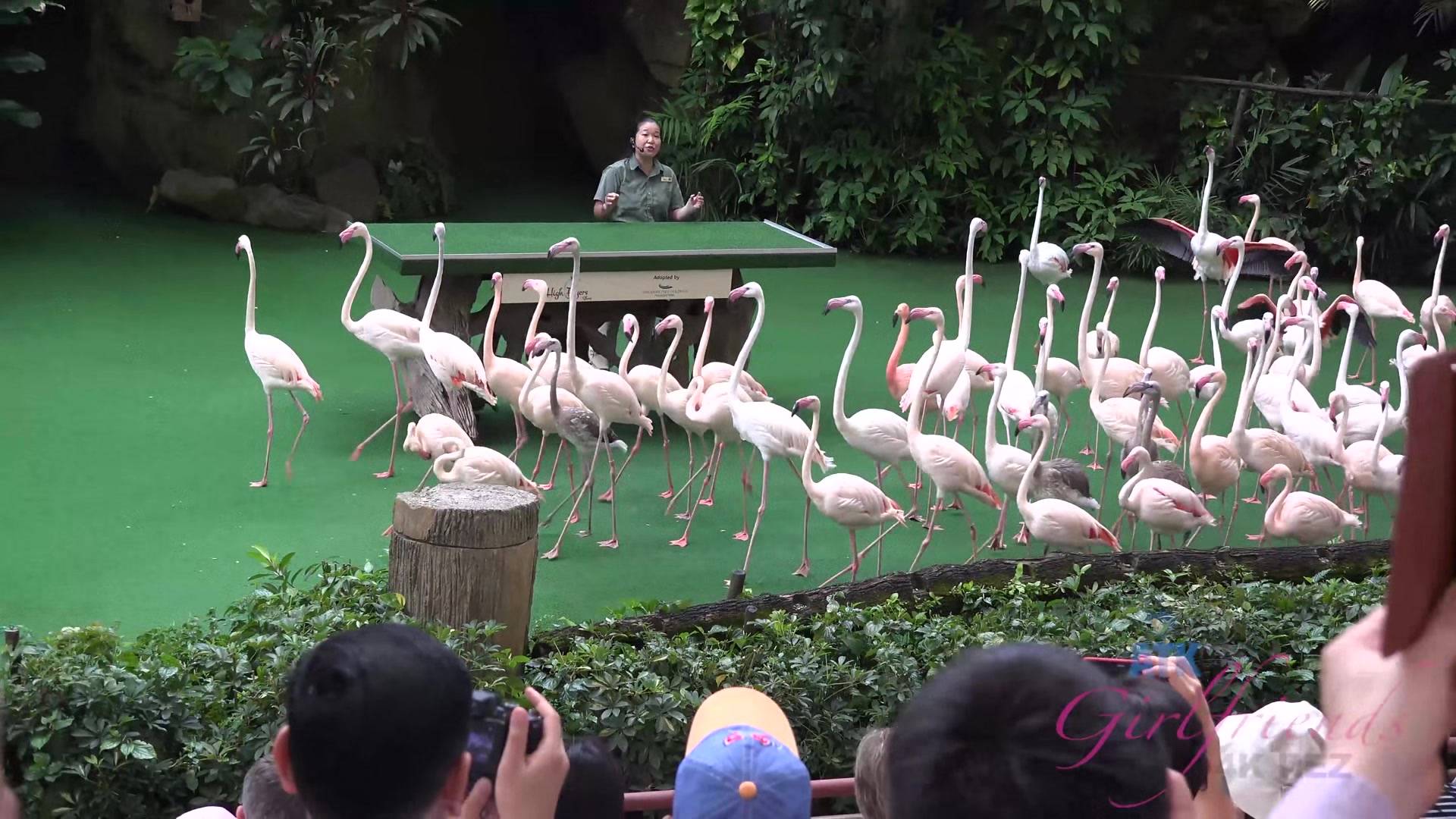 Virtual Vacation In Singapore With Emma Evins Part 3