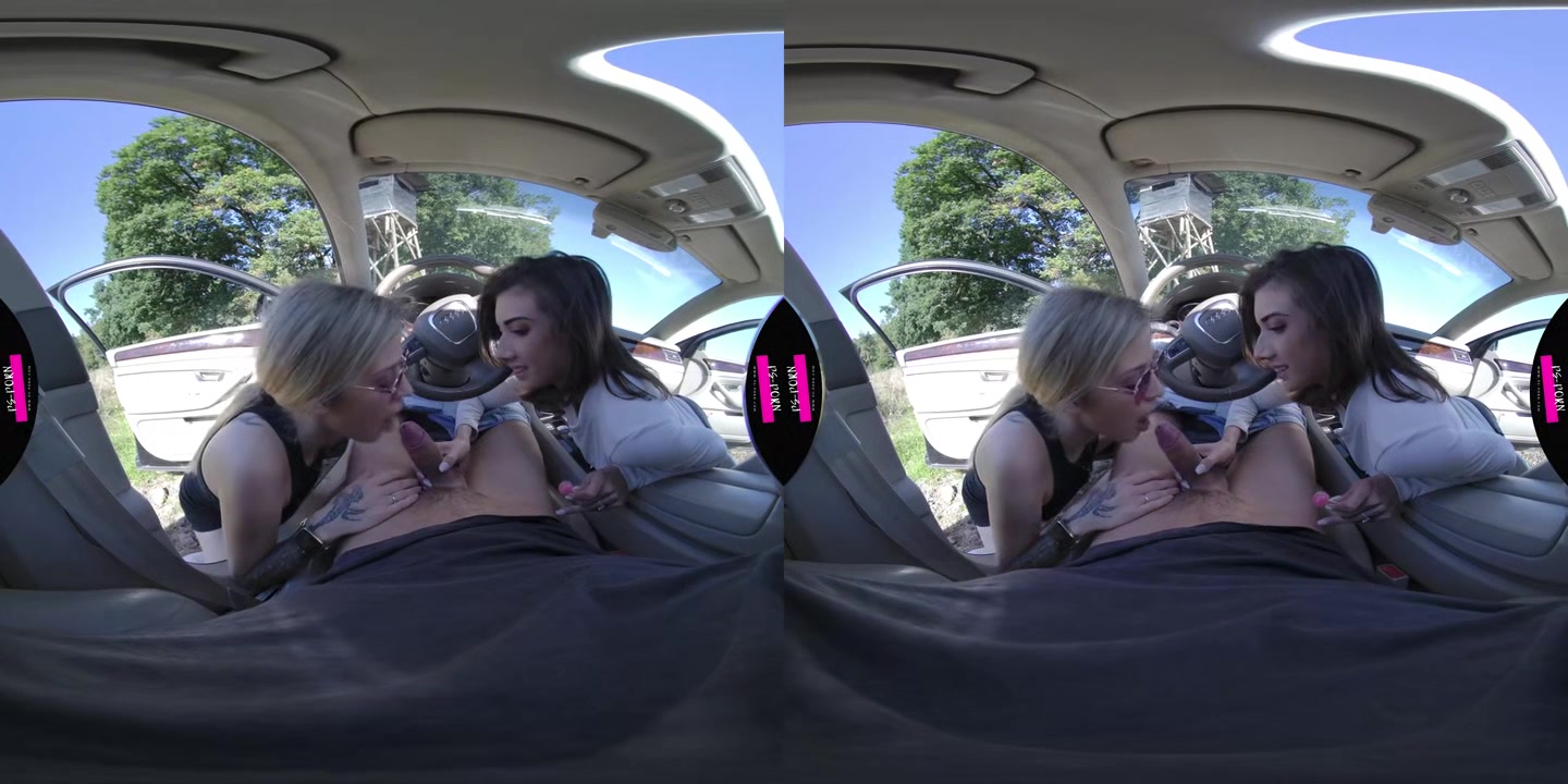 Blowjob In The Car With Hitchhikers