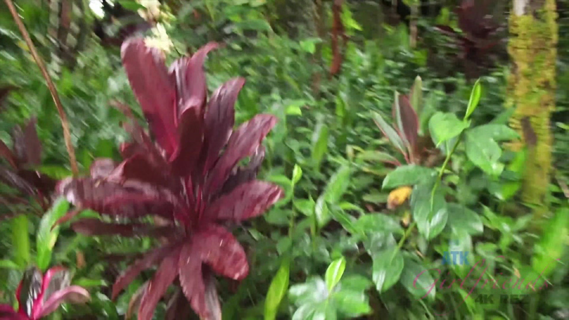 Virtual Vacation With Brittany Shae Part 9