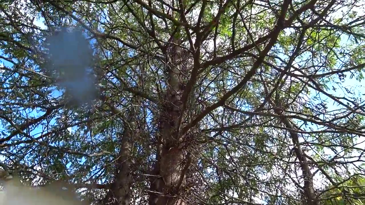 Everyone Look! Educational Beautiful Video I Tried And We Were Caught In The Forest!
