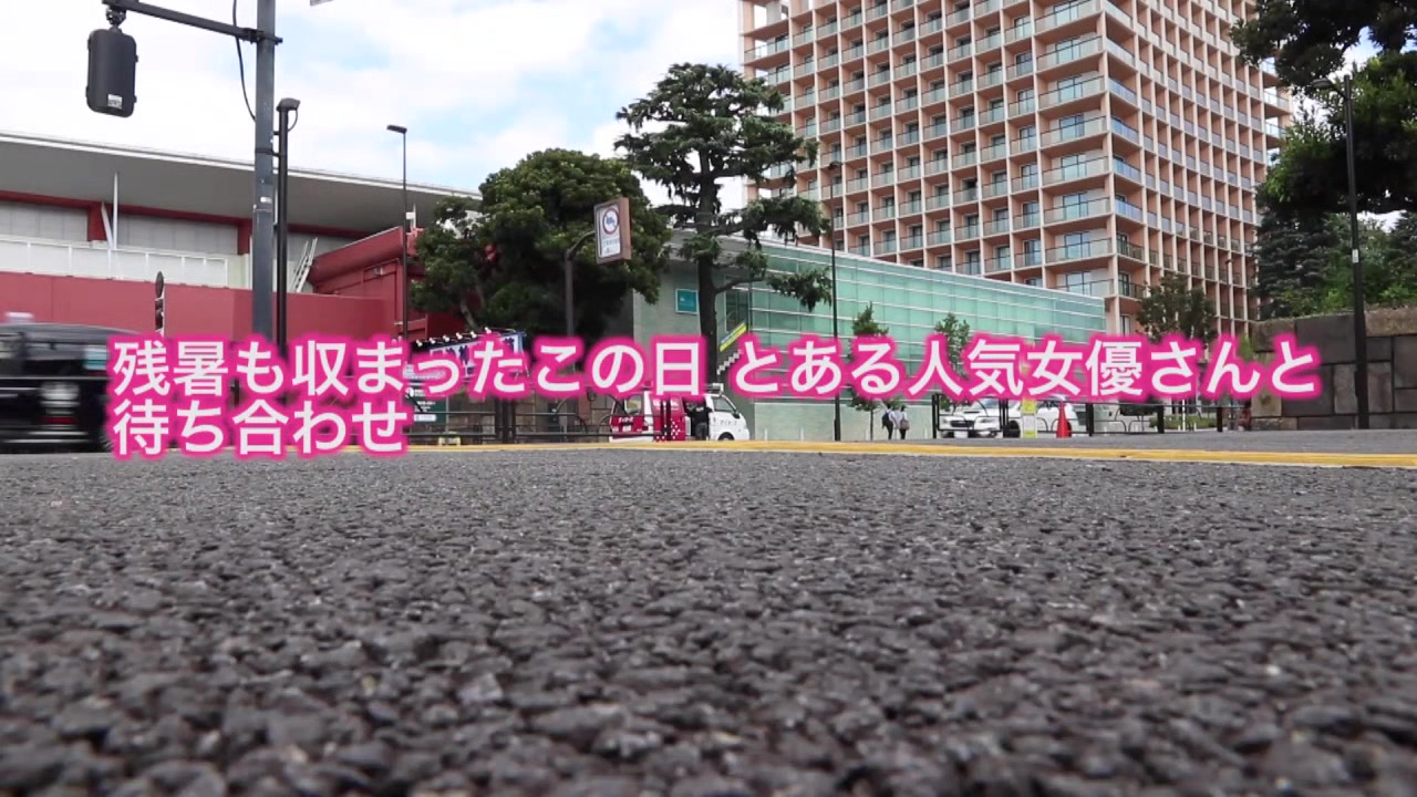 451HHH-037 Japanese Amateur
