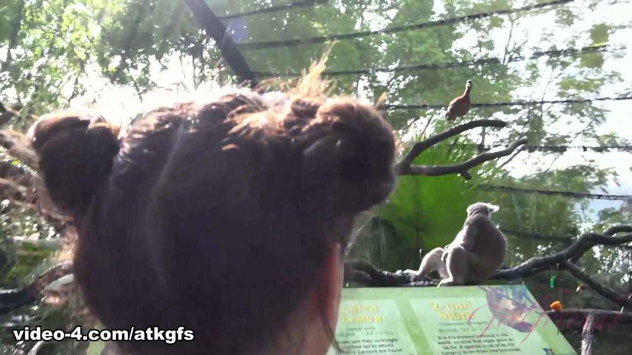 Gia Paige in Gia Gets Up Close To Some Cute Animals At The - ATKGirlfriends