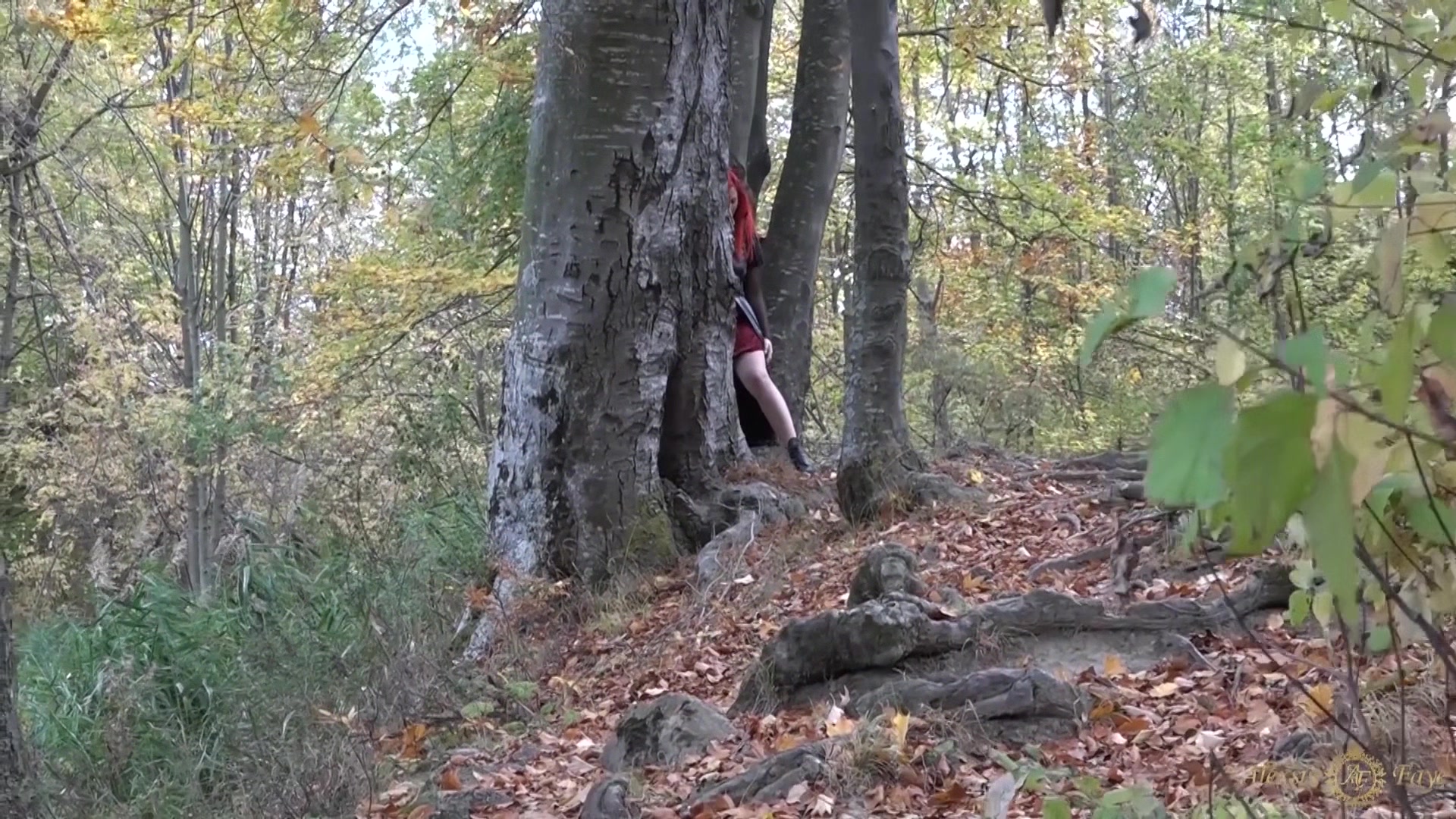 Halloween Vampire Searching For And Cum - Alexsis Faye
