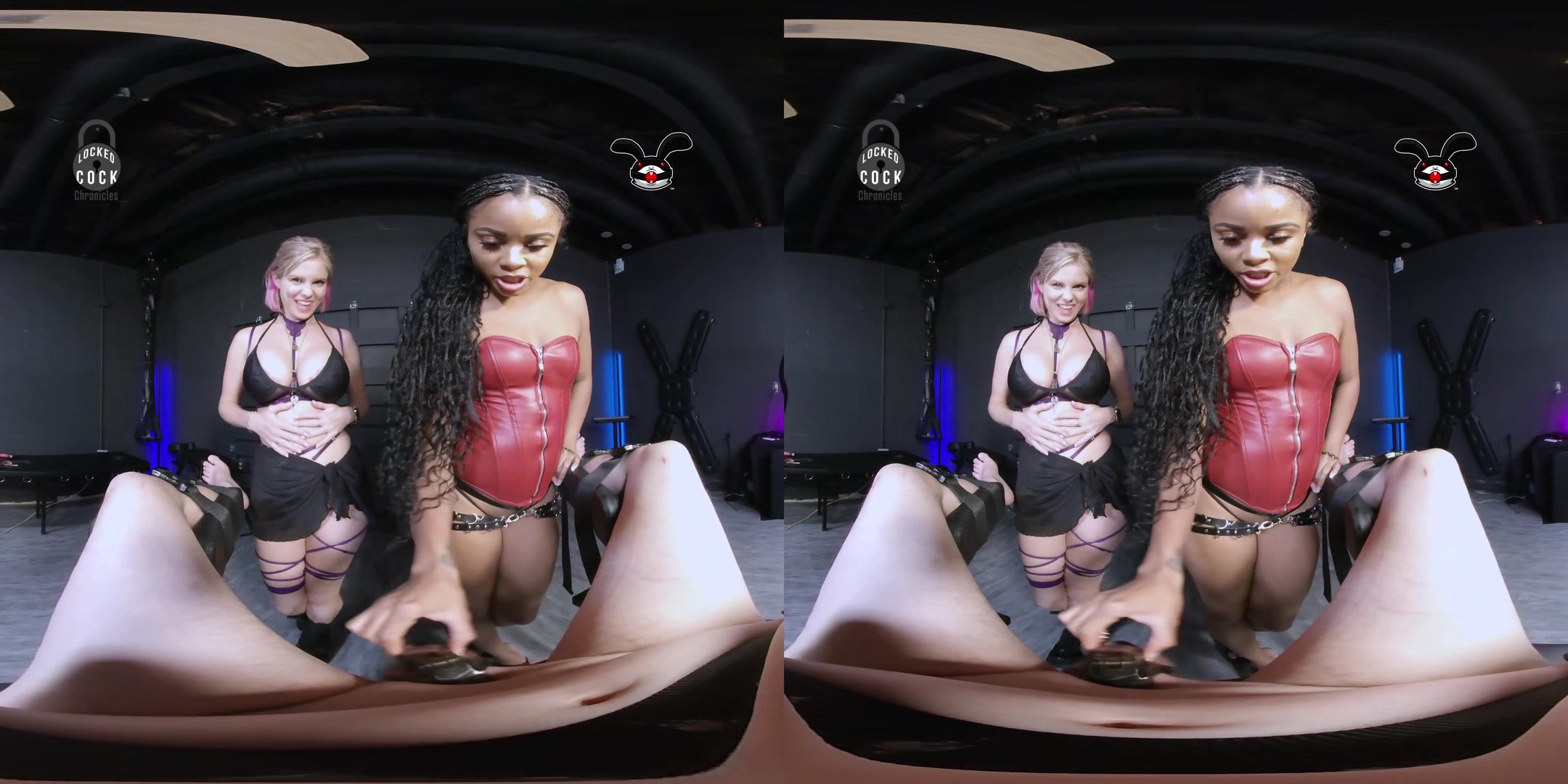 Locked Cock Chronicles - 3d Edition - Volume 36 - Anabelle Pync; Goddess Sugar