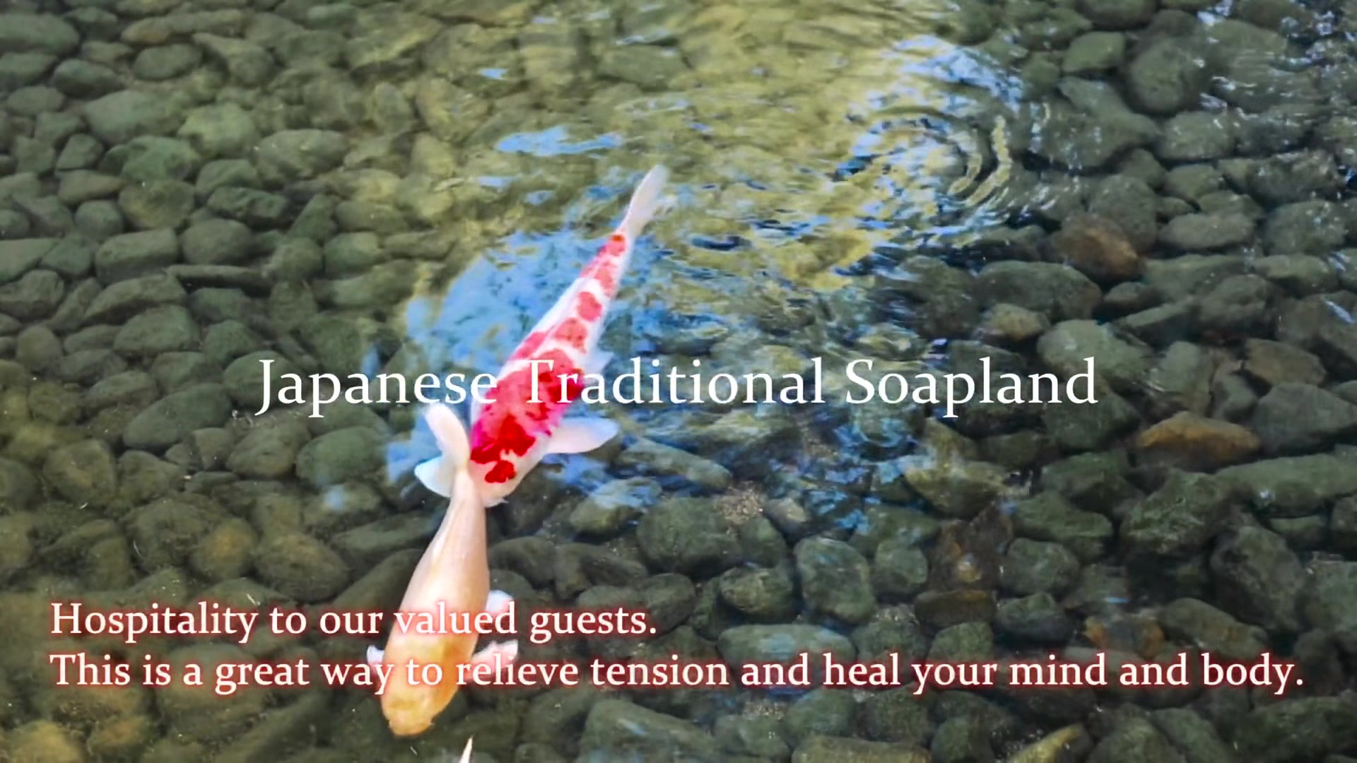 Kokona Japanese Traditional Soapland Fuck And Creampie