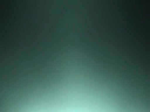 Clip During The Time That A
