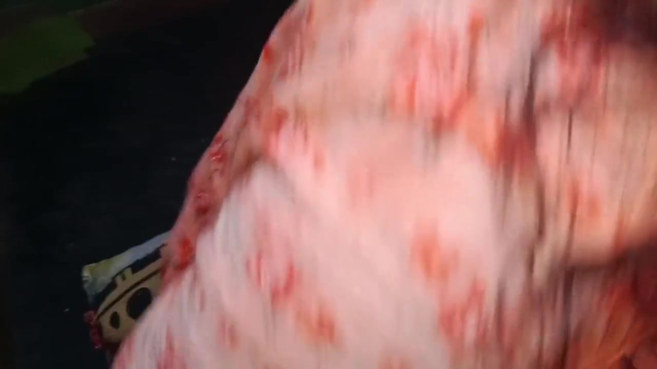 Sexyi Bhabhir Sex Debor Bhabhik Sode Dilo