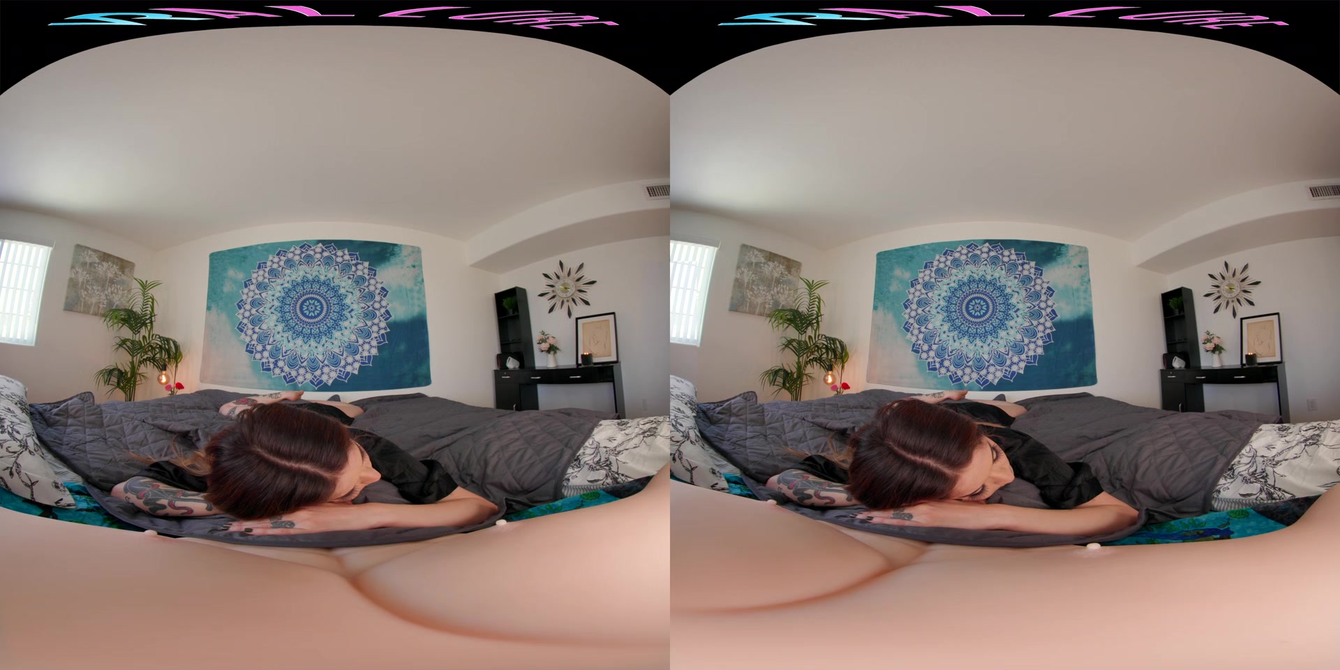 Vanessa Vega - VRHush