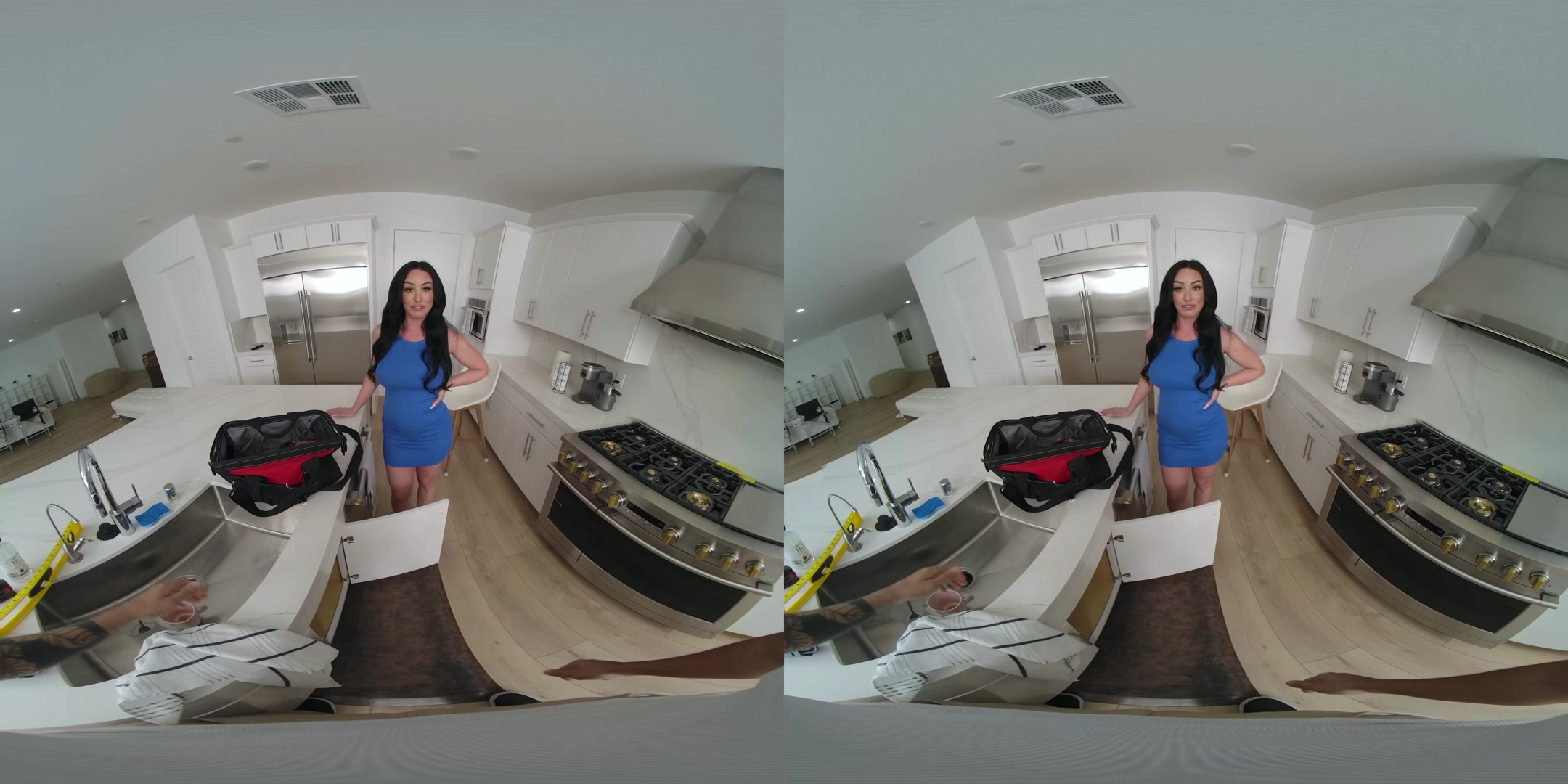 Plumber for Housewife 2