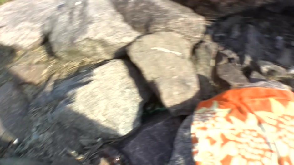 Dasi West in beach posing vid with an amateur hot babe