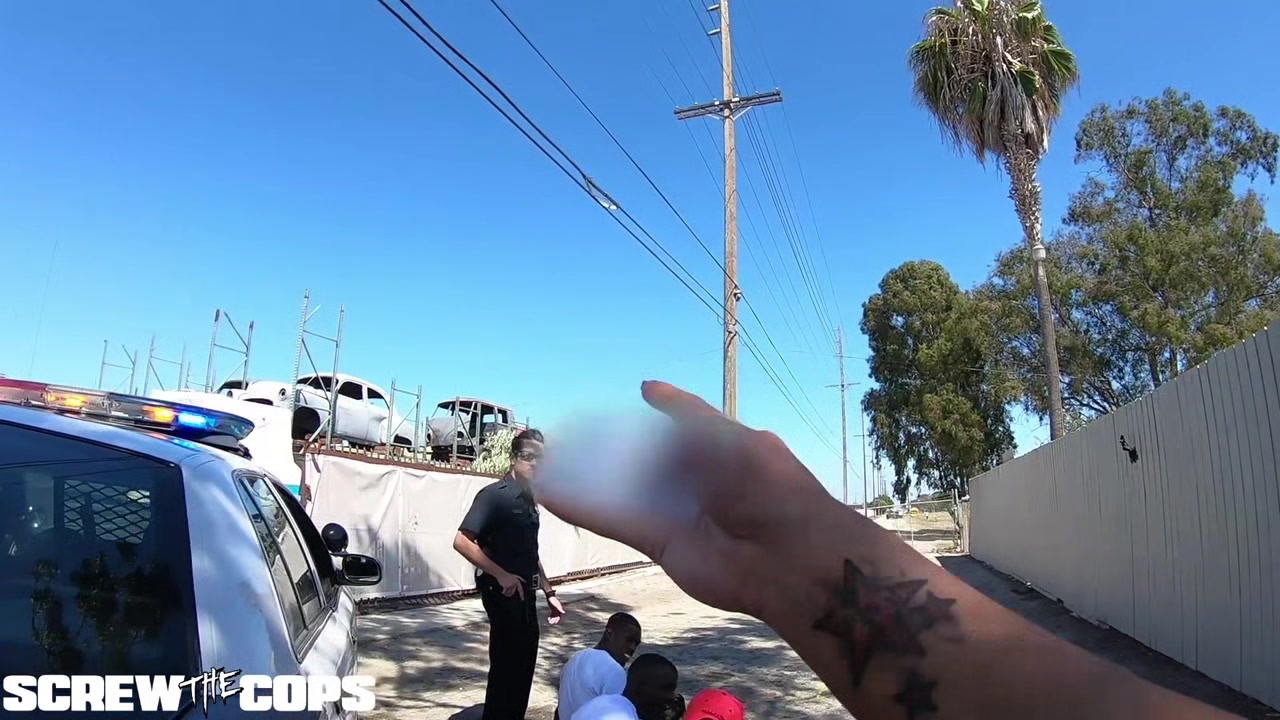 Screw the Cops white female cop fucked by three BBC