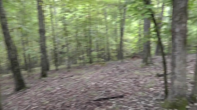 Emo girlfriend screwed in the forest