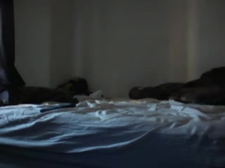 Homemade porn movie with my Ebony girlfriend being pounded hard