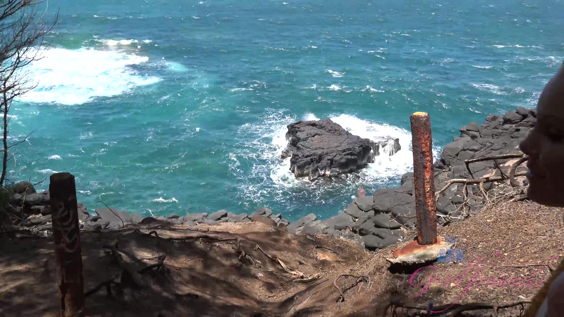 Virtual Vacation Hawaii Aaliyah Love 1/3