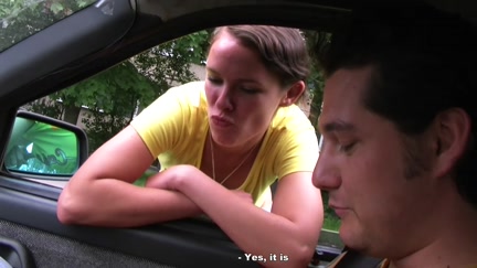 Brunette Hair sucks in the car