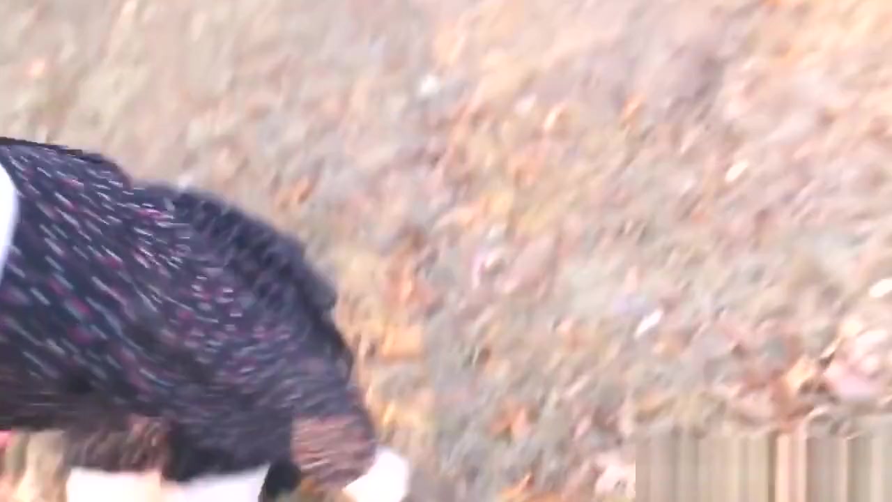 Redhead teen 18+ Fucked Outdoors Ends With A Facial