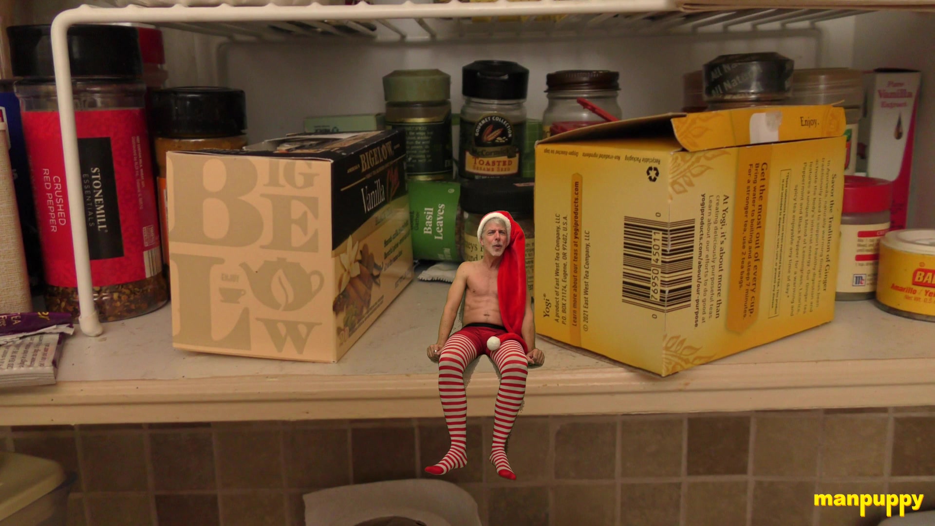 DILF on the Shelf - Richard Lennox