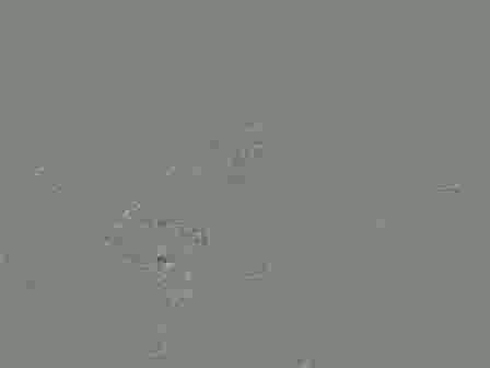 teen 18+ masturbation