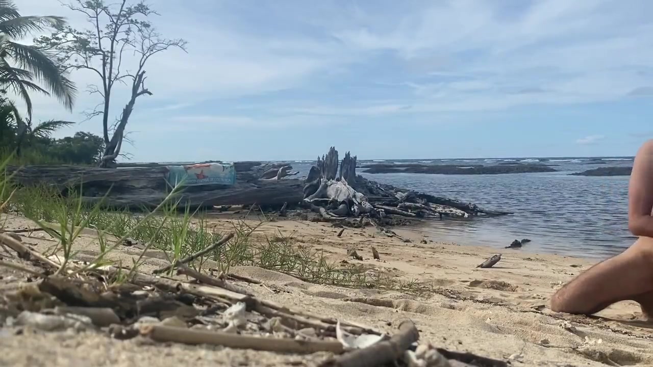 Pet Play At The Beach