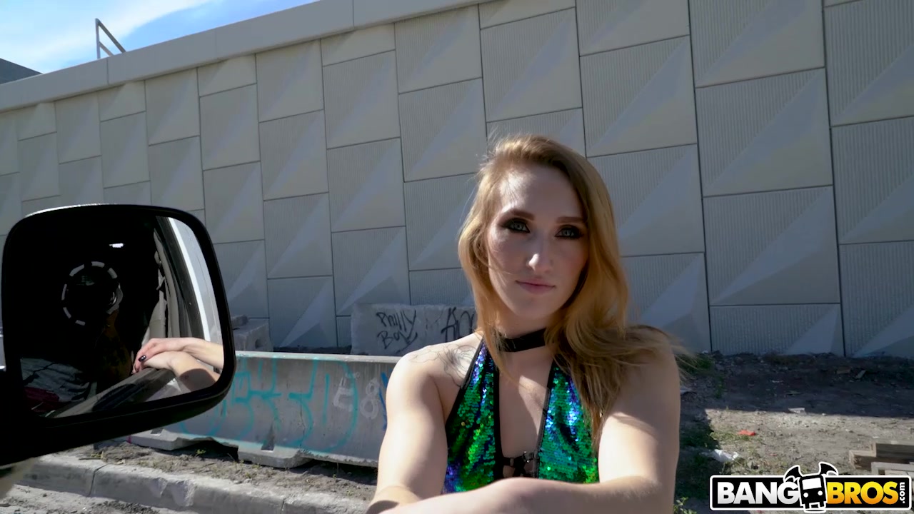 The Bus Picks up a Hooker - BangBus