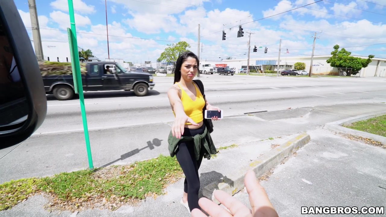The BangBus Gets Pulled Over - BangBus