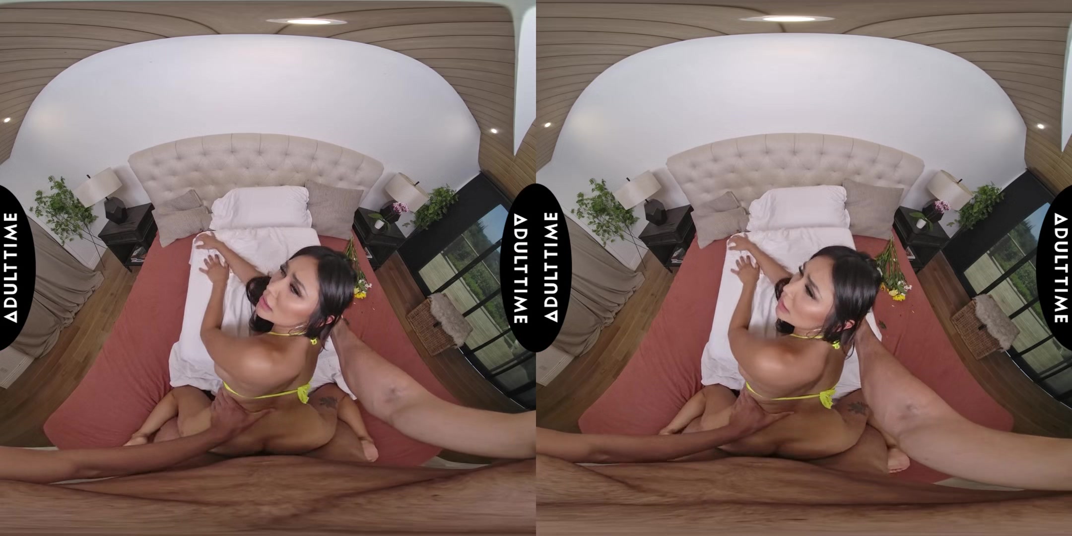 Up Close Vr With Jena Larose