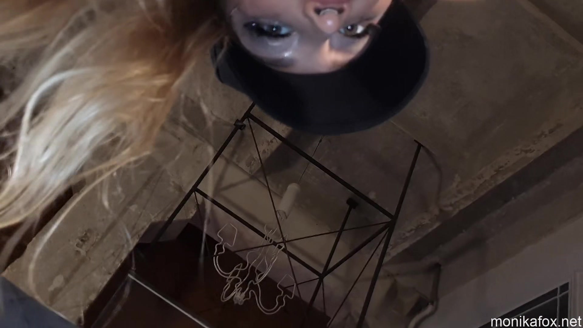 Monika Fox 1 - Monikafox