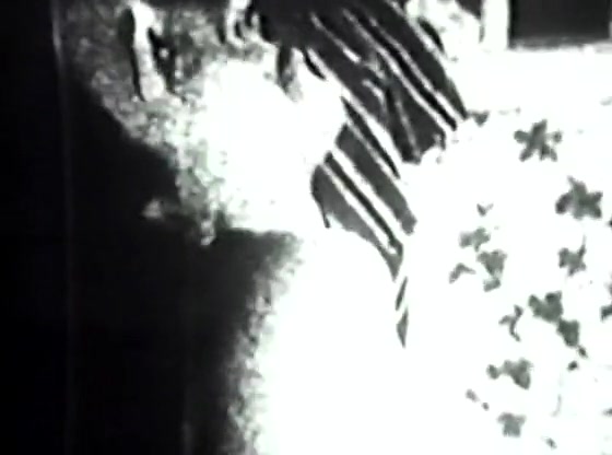 Retro Porn Archive Video: Golden Age Erotica 07 04